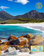 Moutarde aux baies de Tasmanie, texture lisse