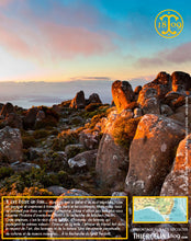 Moutarde aux baies de Tasmanie, texture lisse