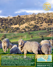 Moutarde aux baies de Tasmanie, texture lisse