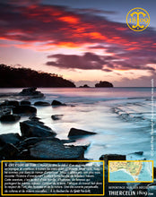 Moutarde aux baies de Tasmanie, texture lisse