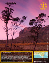 Sirop aux Baies de Tasmanie, liquide