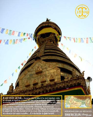 Arrivé à la capitale, nous entamons une visite culturelle des temples de Katmandou… Thiercelin