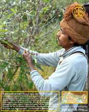 Attention l'ami, les épines piquent ! Thiercelin