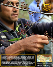 Fermiers en train de faire la récolte… Thiercelin