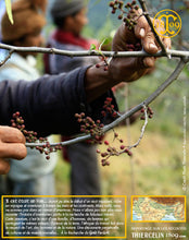 …un travail difficile souvent effectué par les hommes. Thiercelin