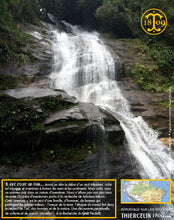 Fèves Tonka, entières