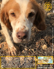 Alors? On creuse où? Thiercelin