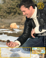 La Belle truffe noire fraîche, Tuber melanosporum (brossée)