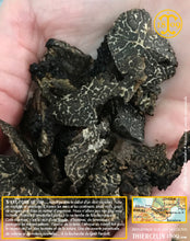 Nous les avons taillé et la récolte est très belle. Bien mûre, au parfum envoutant ! Inimitable ! Thiercelin