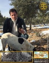 Ma première truffe fraîche déterrée à la main. Pas facile avec ce froid. Thiercelin 