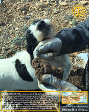 Quelle belle trouvaille. C'est une très belle truffe que nous débusquons. J'en connais un qui n'attend plus que sa friandise ;) Thiercelin