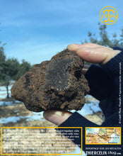 Un très beau calibre en cette belle journée. Et nous allons tomber sur beaucoup de trésors de cette taille. Thiercelin