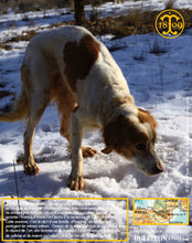 Allé ma grande ! Cherche ! Je sais, ce n'est pas facile avec ce froid. Thiercelin