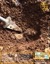 Regardez-moi ce specimen. Que c'est beau ! Thiercelin