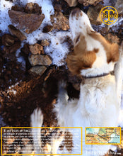 Allez montre-nous la piste mon grand ! Thiercelin