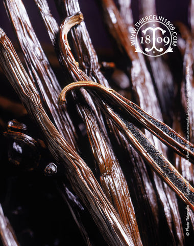 Gousses de vanille bourbon fendue de Madagascar - Thiercelin