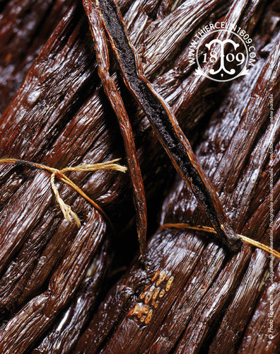 Gousses de vanille bourbon de Madagascar - Thiercelin