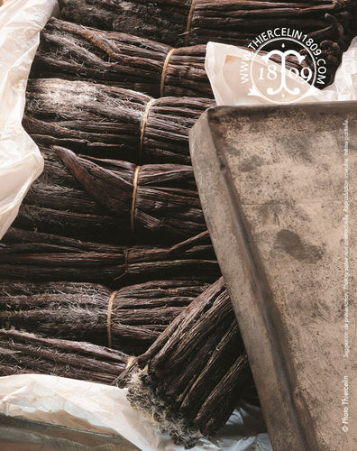 Vanille Bourbon Givrée - Thiercelin