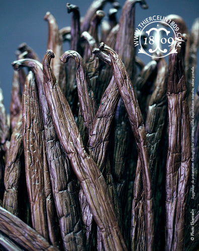 Gousses de vanille de Tahiti - Thiercelin