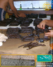 Calibrage des gousses par grade et taille.