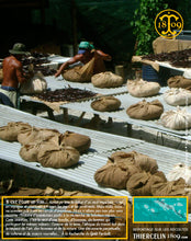 Préparation de la Vanille à Tahiti.