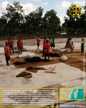 Vanille Bourbon, gousses noires fendues