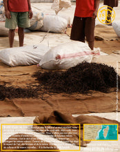 Vanille Bourbon, gousses noires non fendues, 20/22 cm