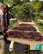 Vanille Bourbon, gousses noires fendues