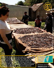 Vanille Bourbon Givrée, gousses noires non fendues