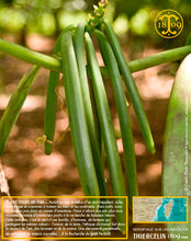 Vanille Bourbon Givrée, gousses noires non fendues