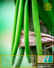 Vanille Bourbon, gousses noires non fendues, 20/22 cm