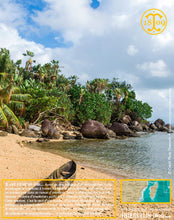 Vanille Bourbon, gousses noires non fendues, 14/16 cm