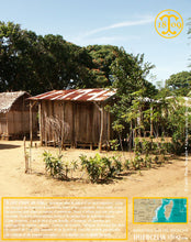 Vanille Bourbon, gousses noires fendues