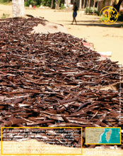 Vanille Bourbon, gousses noires non fendues, 14/16 cm