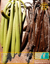 Vanille Bourbon, gousses noires non fendues, 14/16 cm