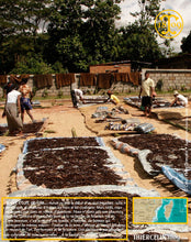 Vanille Bourbon, gousses noires non fendues, 14/16 cm