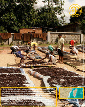 Vanille Bourbon Givrée, gousses noires non fendues