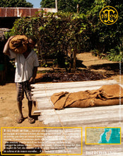 Vanille Bourbon, gousses noires fendues