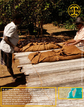 Vanille Bourbon, gousses noires fendues