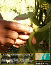 Vanille Bourbon, gousses noires fendues