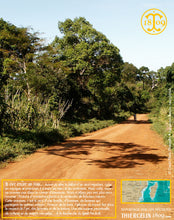 Vanille Bourbon, gousses noires non fendues, 14/16 cm