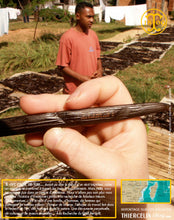 Vanille Bourbon Givrée, gousses noires non fendues