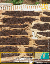 Vanille Bourbon Givrée, gousses noires non fendues