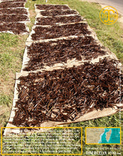 Vanille Bourbon, gousses noires non fendues, 14/16 cm