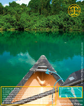 Poivre noir de Vanuatu, baies séchées