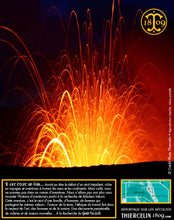 Poivre noir de Vanuatu, baies séchées