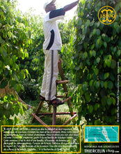 Poivre noir de Vanuatu, baies séchées