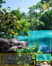 Poivre noir de Vanuatu, baies séchées