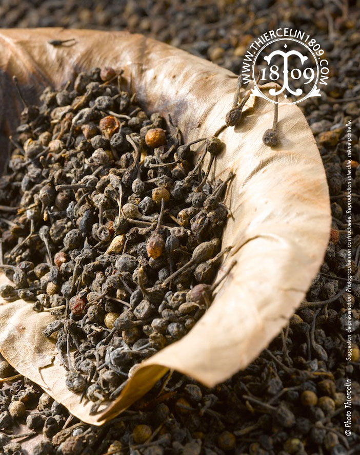 Poivre noir Voatsiperifery - Thiercelin