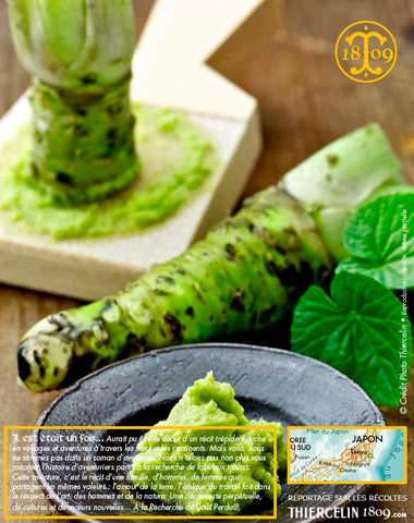 Sésame au wasabi, graines toastées, enrobées et aromatisées